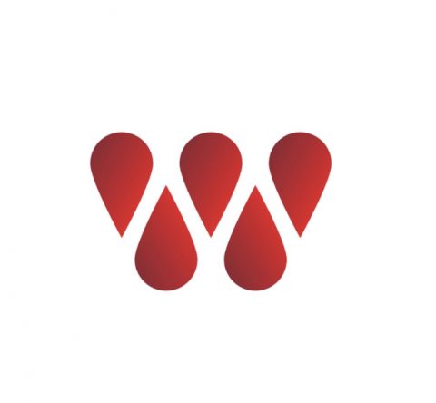 TEAM WATSON CELEBRITY CHARITY GAME